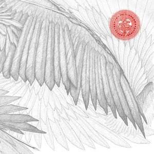 BUG | ANGELS AND DEVILS - 2LP