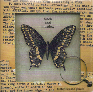 BIRCH AND MEADOW | BUTTERFLIES AND GRAVES (CARD SLEEVE)