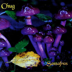 CHUG | SASSAFRAS