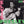 ELVIS PRESLEY | ELVIS PRESLEY (2CD REMASTERED )