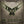 TOXIK | III WORKS (3CD BOX SET) (INCL POSTER AND BOOKLET)