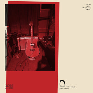 MIKE POLIZZE | AROUND SOUND