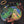 TEN YEARS AFTER | ROCK AND ROLL MUSIC TO THE WORLD - US - STICKER MARK ON COVER