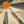 VARIOUS | CALIFORNIA JAM 2 (2LP)
