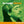 SANTANA | ESSENTIAL (3CD)
