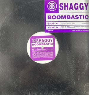 SHAGGY | BOOMBASTIC - 12 - GENERIC SLEEVE WITH HYPE