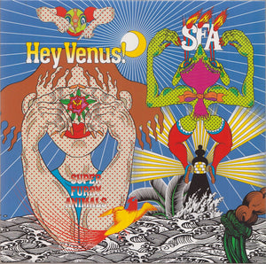 SUPER FURRY ANIMALS | HEY VENUS