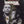 MOVIE TH | MANCHURIAN CANDIDATE (1962)