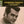 CONWAY TWITTY | SIX CLASSIC ALBUMS PLUS SINGLES (4CD)