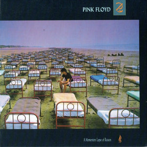 PINK FLOYD | MOMENTARY LAPSE OF REASON (LP REPLICA DIGI)