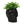 BLACK CERAMIC SKULL POT PLANTER INDOOR