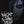 NIGHT OF THE LIVING DEAD (ZONE 2)