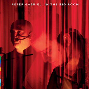 PETER GABRIEL | IN THE BIG ROOM (2LP SET) (VINYL)
