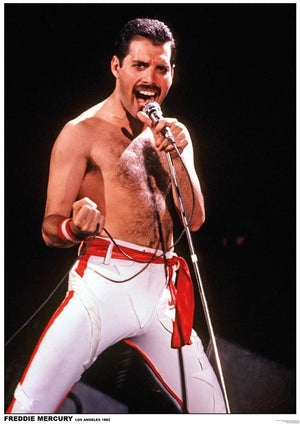 FREDDIE MERCURY POSTER LOS ANGELES 1982 COLOUR 357