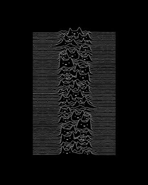 FUR DIVISION COTTON CANVAS TOTE BAG JOY DIVISION