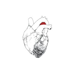 SWANS | BEGGAR (2LP SET) (VINYL)