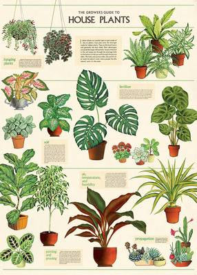 HOUSE PLANTS GIFT WRAP SHEET