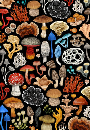 NZ FUNGI MUSHROOM GIFT WRAP