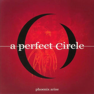 PERFECT CIRCLE / TOOL | LIVE AT THE AMERICAN WEST ARENA PHOENIX AZ JUNE 4TH 2000 (VINYL)