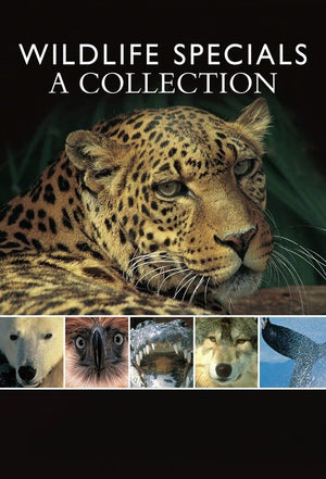 DOCUMENTARY | WILDLIFE SPECIALS A COLLECTION (2DVD)