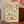 SHROOM ID CHART MAXI POSTER MUSHROOMS CHAMPIGNON 284