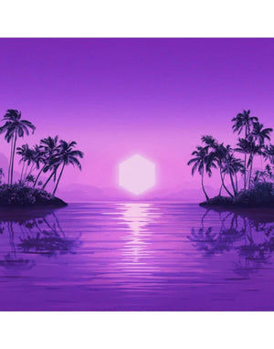 PURPLE DISCO MACHINE | PARADISE (2LP SET) (VINYL)