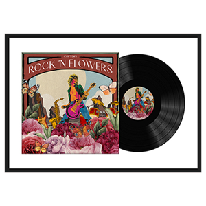 RECORD FRAME RECTANGLE DISPLAY YOUR RECORDS