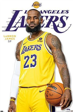 LEBRON JAMES POSTER 529