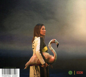 KIM DEAL | NOBODY LOVES YOU MORE