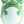 FROG PLUSH SMOOSHO PALS PLUSHIE