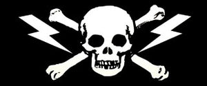 SKULL CROSS BONES STICKER