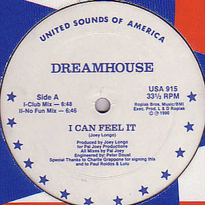 DREAMHOUSE | I CAN FEEL IT - 12 - WITH COMPANY SLEEVE