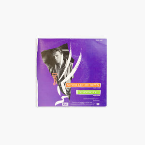 DAVID BOWIE | NEVER LET ME DOWN / '87 AND CRY