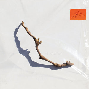 PJ HARVEY | I INSIDE THE OLD YEAR DYING