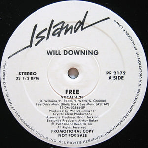 WILL DOWNING | FREE - 12 - PROMO WITH ISLAND SLEEVE