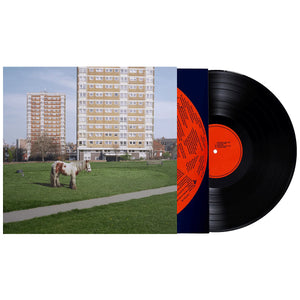 WESTSIDE COWBOY | IT GOES ON (VINYL)
