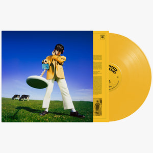 DECLAN MCKENNA | WHAT HAPPENED TO THE BEACH (YELLOW EDITION) (VINYL)