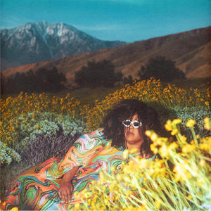 BRITTANY HOWARD | WHAT NOW (VINYL)