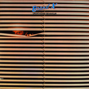 BRAND X | UNORTHODOX BEHAVIOUR - WRITING ON BACK